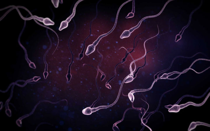 精子质量