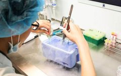 泰国试管婴儿能一次性成功？决定试管成功的因素以下这几点