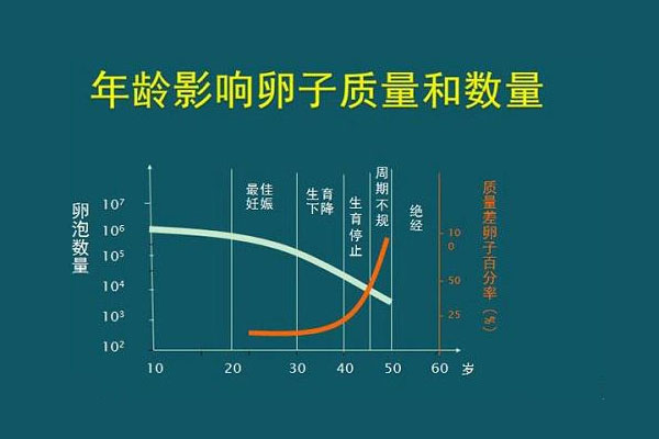 年龄决定试管婴儿成功率