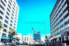美国西海岸生殖医疗中心(WFI)介绍，试管婴儿技术的领路人之一
