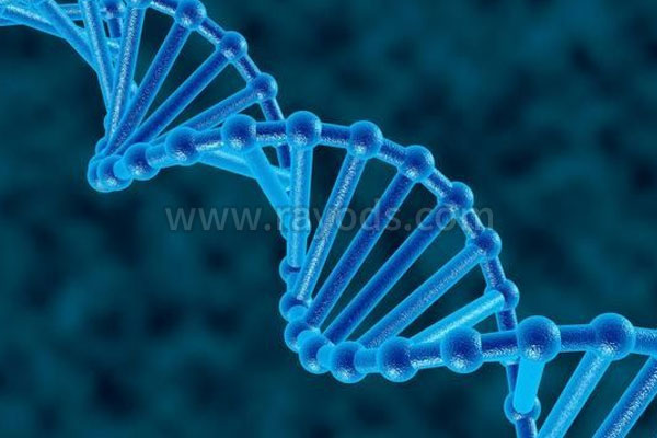 泰国第三代试管婴儿PGD技术让脊肌萎缩症不再遗传下一代