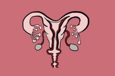 子宫内膜薄可以去日本试管婴儿吗 为什么子宫内膜会变薄