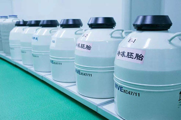 冷冻精子一年要多少钱