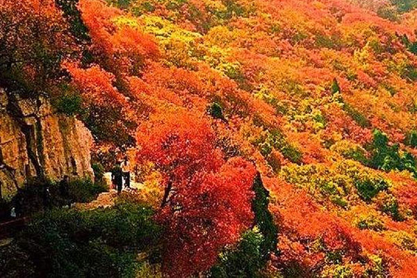 从化石门国家森林公园