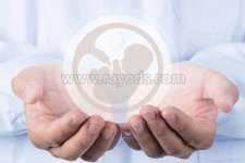 试管胚胎移植第50天出血怎么办？会导致流产吗？