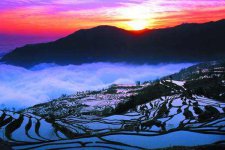 云南试管婴儿流程、医院、费用及攻略