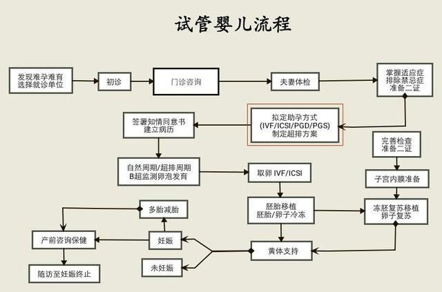 试管婴儿降调-促排-取卵-移植流程（完整版）