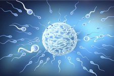 精子质量下降会影响生育能力,6个因素可影响男性精子质量