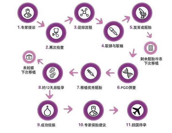 泰国试管婴儿流程
