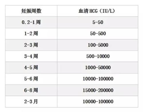 hCG是什么意思
