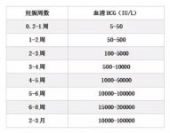 hCG是什么意思？hCG检查是什么意思
