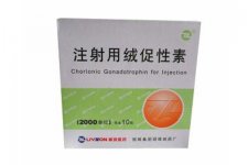HCG(注射用绒促性素)是什么药