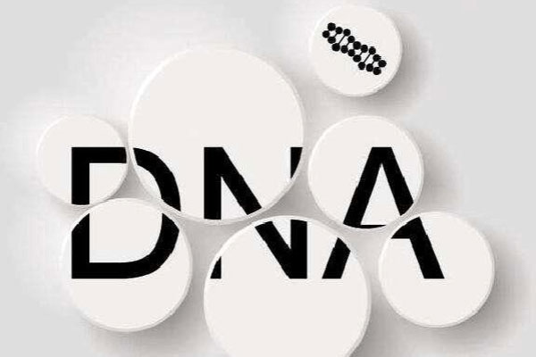 精子DNA