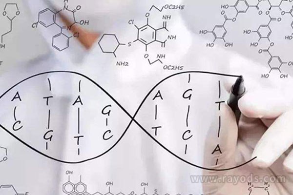 无精症的病因是什么