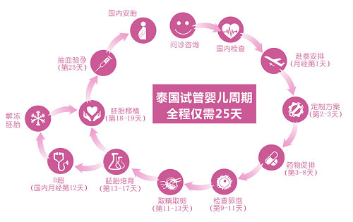 泰国iBaby试管婴儿流程