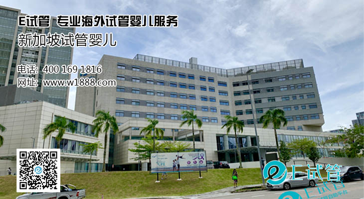 E试管： 新加坡试管婴儿双保胎的风险以及注意事项
