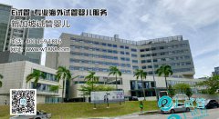 E试管： 新加坡试管婴儿双保胎的风险以及注意事项