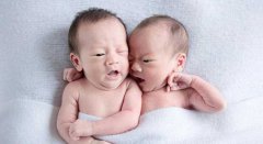 38岁4月怀孕是男孩还是女孩？生男生女计算器及清宫图介绍