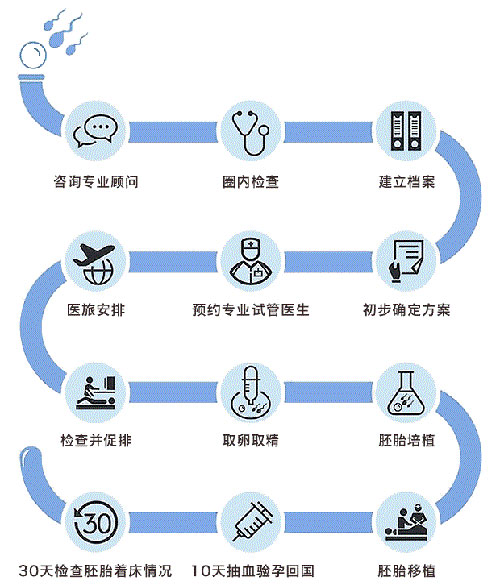 美国试管流程