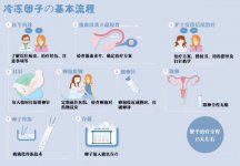 未婚女性可以在香港冷冻卵子,费用低,政策允许