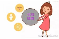 女性排卵障碍有哪些症状？5大症状表现介绍