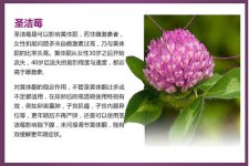 禁忌及用法用量