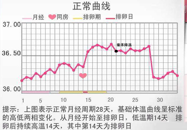 标准的着床降温体温图