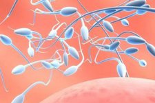 免疫性不孕症是什么？免疫性不孕有三大类你属于哪一种？