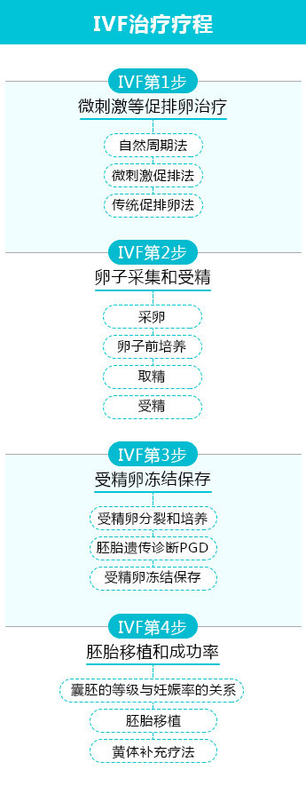 美国试管婴儿医疗流程