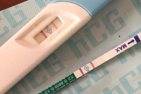 3bb囊胚好吗
