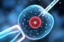 疫情期间去试管，注意这3件事有助于试管成功！