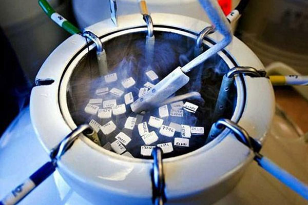 美国试管婴儿适用人群