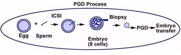 PGD/PGS技术操作方式