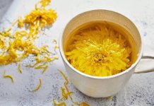孕妇可以喝菊花茶吗