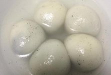 孕妇可以吃汤圆吗