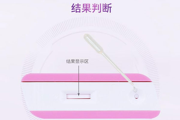 检测结果显示区