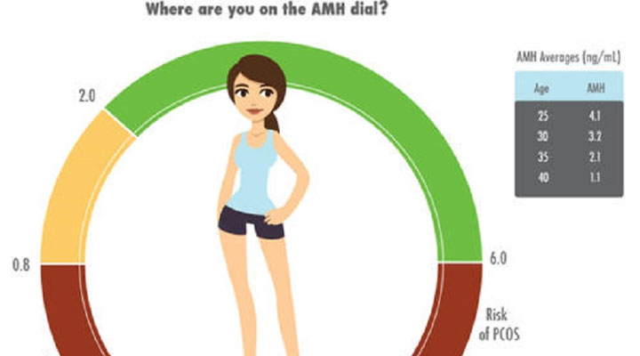 AMH检查的意义