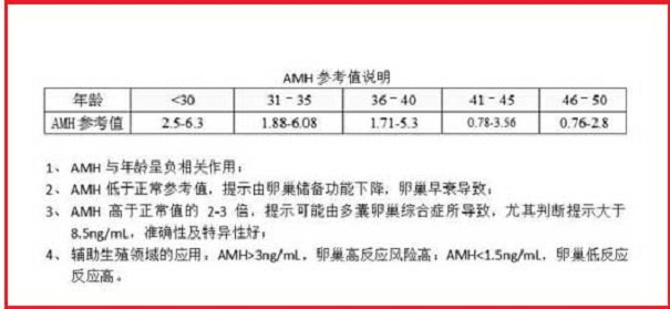 不同年龄的AMH数值