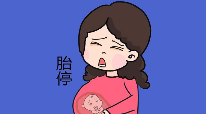 孕酮过低仅为导致胎停的原因之一