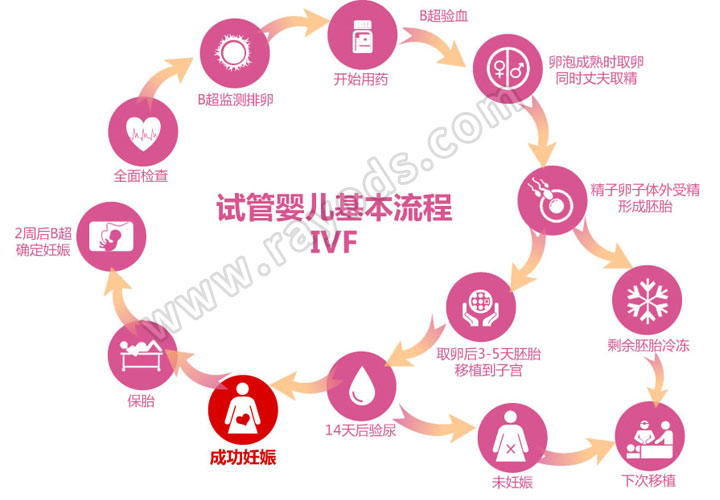 无精症患者试管流程