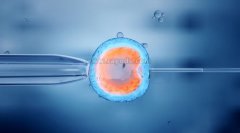 2021年北医三院做试管有哪些流程?