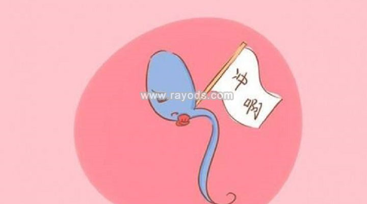 取精的方法和取精前的注意事项