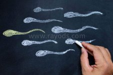 精子库里面精子质量的高吗?标准是什么？