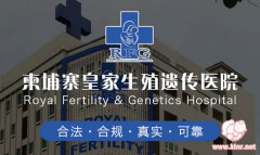 柬埔寨皇家生殖遗传医院(RFG)试管婴儿
