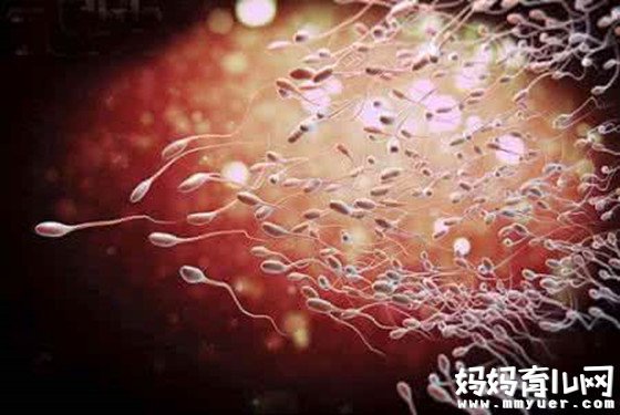 受精卵几天可以着床 着床后几天后试纸能测出来