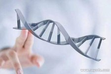 泰国iBaby医院和杰特宁哪个试管成功率有80%?