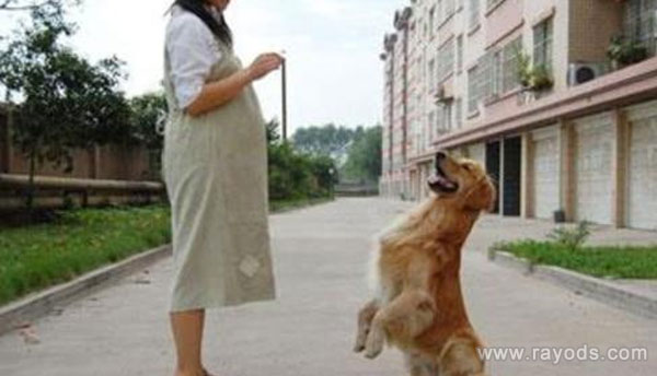 怀孕不可犯的六大禁忌