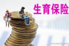 四川的生育保险男方报销标准是多少？能报80%吗？