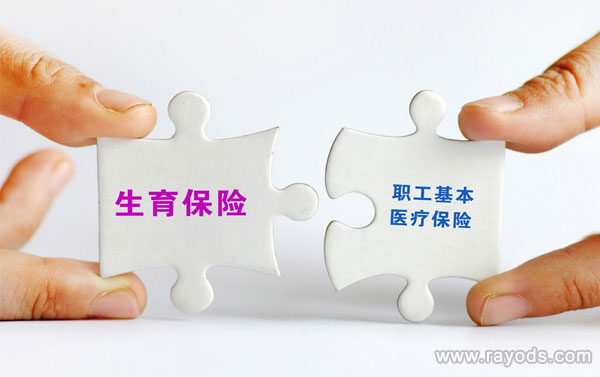生育保险报销费用的具体到账时间