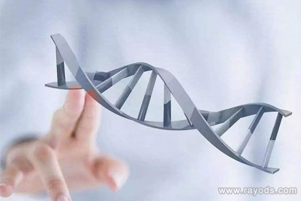 柬埔寨试管婴儿成功率比国内高的原因
